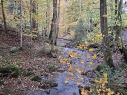 56620134312824034403542687682117390297242292n